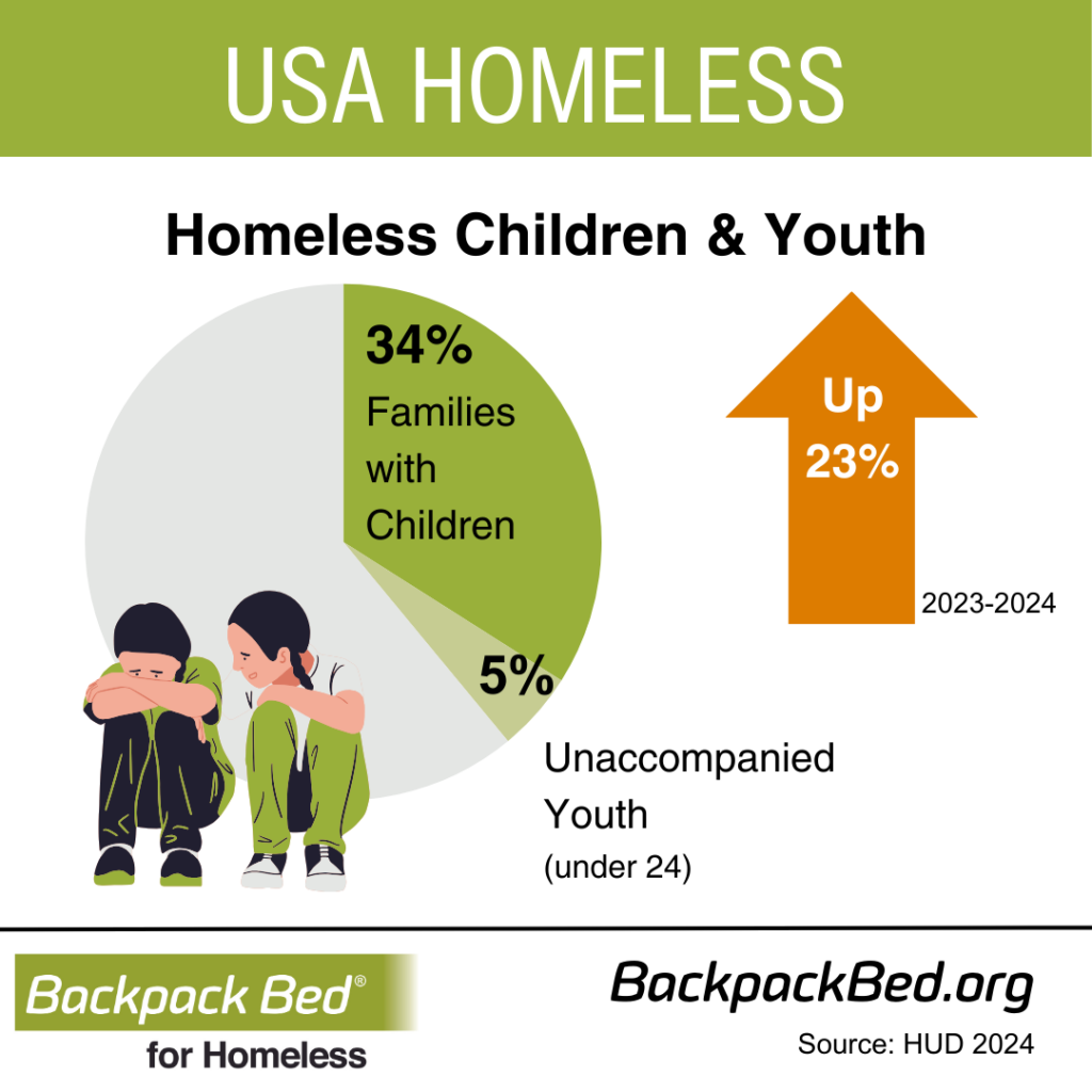 FACTS ABOUT HOMELESSNESS IN AMERICA visual data 7