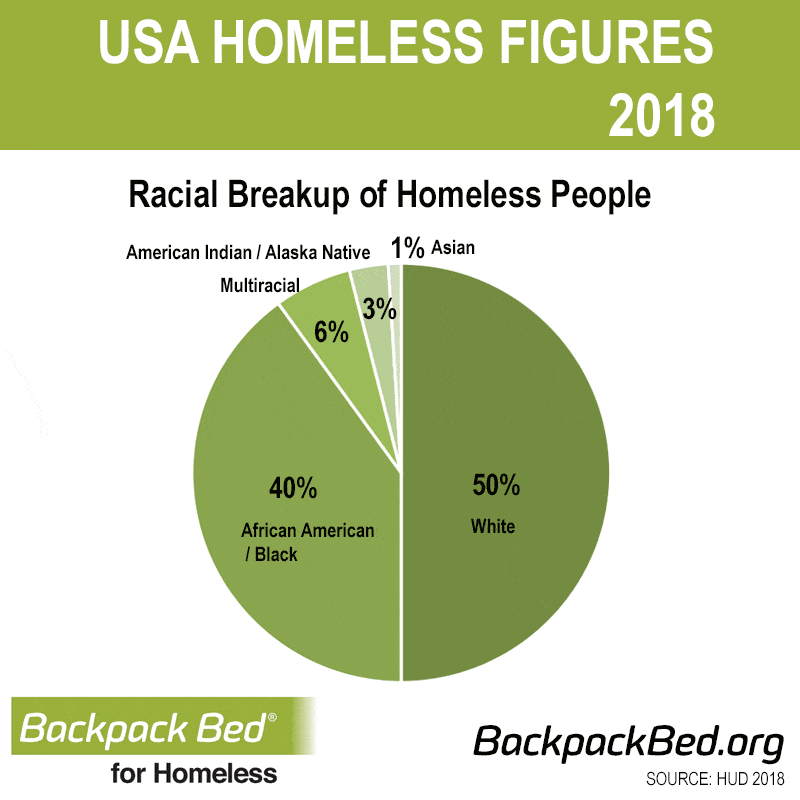 2018-HOMELESS-STATS-USA_racial